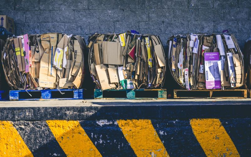 Why Waste Management is Crucial to Your Business